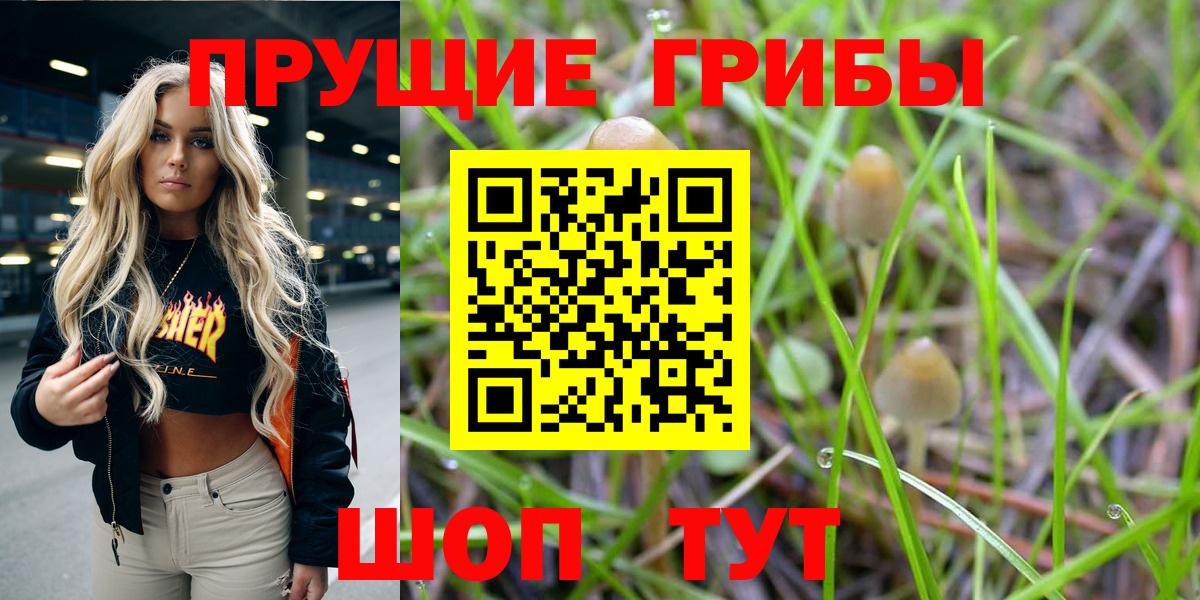 Псилоцибиновые грибы мухоморы Шарыпово